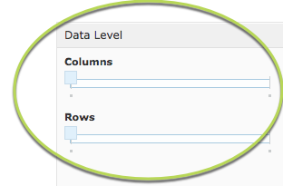 Data Level