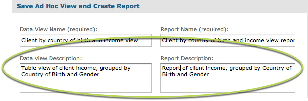 View and Report Descriptions